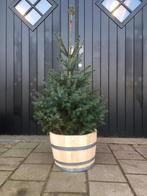 Kerstboombak/pot bloembak half wijnvat whiskyvat houten ton, Tuin, Gerard Krale, Rond, Nieuw
