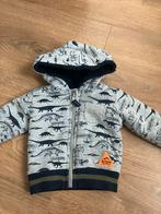 Dirkje jasje maat 62 met dino print, Kinderen en Baby's, Babykleding | Maat 62, Gebruikt, Dirkje, Ophalen of Verzenden, Jasje