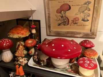 Verzameling paddenstoelen - in 1 koop beschikbaar voor biedingen