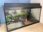 Aquarium JEWEL 60L + (accessoires), Dieren en Toebehoren, Vissen | Aquaria en Toebehoren, Ophalen, Zo goed als nieuw