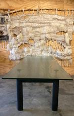 CASSINA LC 6 tafel van Le Corbusier, Huis en Inrichting, Tafels | Eettafels, 200 cm of meer, 50 tot 100 cm, Rechthoekig, Ophalen of Verzenden