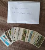 RIZLA  plaatjes, Ophalen of Verzenden, Zo goed als nieuw