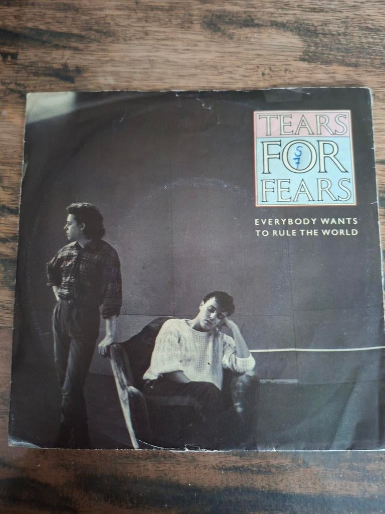 Tears for fears - Everybody wants to rules the world, Cd's en Dvd's, Vinyl Singles, Ophalen of Verzenden, Zo goed als nieuw, Pop