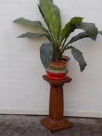 Zuil piedestal planten tafel etagiere sokkel lamp vaas, Ophalen, Gebruikt