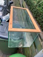 Knaagdier / hamster hok / aquarium glas 80x40x40, Dieren en Toebehoren, Knaagdieren en Konijnen | Hokken en Kooien, Hamster, Zo goed als nieuw