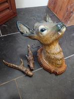 Grote hertenkop, Ophalen