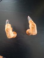 Herten poten taxidermie opgezette hert ree wild, Ophalen of Verzenden, Gebruikt, Hert, Overige typen