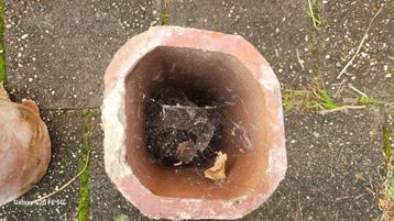 3 Rookkanaal pijpen beschikbaar voor biedingen