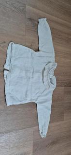 Blousje maat 80, Kinderen en Baby's, Babykleding | Maat 80, Gebruikt, Ophalen of Verzenden, Zara, Truitje of Vestje