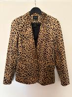 Scotch & Soda colbert, Ophalen of Verzenden, Zo goed als nieuw