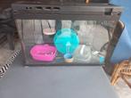 Aquarium 60 x 30 x 35, Dieren en Toebehoren, Ophalen, Zo goed als nieuw, Leeg aquarium
