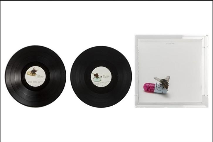 Damien Hirst x Red Hot Chilli Peppers gesigneerd, Verzamelen, Overige Verzamelen, Zo goed als nieuw, Ophalen of Verzenden