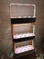 Click & Grow Smart Garden 27 – perfecte staat, Tuin en Terras, Kweekspullen, Ophalen of Verzenden, Zo goed als nieuw, Overige typen