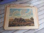 oude schoolplaat, Antiek en Kunst, Kunst | Schilderijen | Klassiek, Ophalen