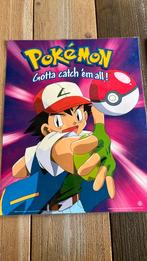 Pokemon: geplacificeerde posters, Ophalen of Verzenden, A1 t/m A3, Film en Tv, Rechthoekig Staand