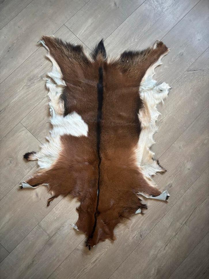 Unieke dierenhuid geiten vacht en schapenvacht, Huis en Inrichting, Stoffering | Tapijten en Kleden, Gebruikt, 50 tot 100 cm, 100 tot 150 cm
