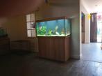 Juwel rio 350, Ophalen, Zo goed als nieuw, Leeg aquarium