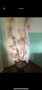 Bloesemboompje in pot - decoratief, Ophalen, Gebruikt, Binnen