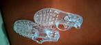 Waterschoenen maat 37, zgan, Ophalen of Verzenden, Zo goed als nieuw, Overige typen