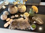 Diverse woondecoratie, alles voor €65!!, Ophalen of Verzenden, Zo goed als nieuw