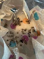 Eitjes flappentak PSG 9, Dieren en Toebehoren, Wandelende tak