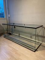 Terrarium - groot formaat (L150xB50xH60), Ophalen, Zo goed als nieuw