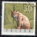 Polen 1965 Wilde kat, Verzenden, Gestempeld, Dier of Natuur