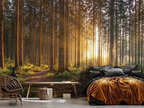 Bos fotobehang Sunrise, romantisch behang, Fotobehang4you, Huis en Inrichting, Stoffering | Behang, Verzenden