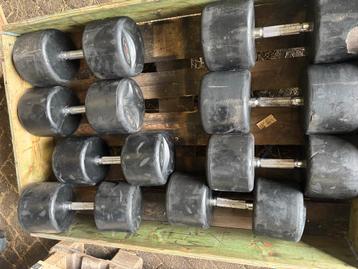 Lifemaxx Dumbbells 44-50 kg beschikbaar voor biedingen