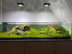 Aquarium 120cm ila, Dieren en Toebehoren, Ophalen, Gebruikt, Leeg aquarium