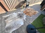 Prachtige koeienhuiden koeienvel Koldby ikea KOLDBY, Huis en Inrichting, Stoffering | Tapijten en Kleden, Ophalen of Verzenden