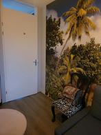 Kamer te huur Amsterdam alleen een vrouw, Huizen en Kamers, Kamers te huur