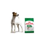 8 kilo zak Royal Canin Mini Adult - Hondenvoer, Ophalen, Hond