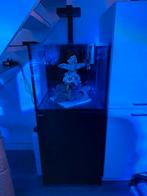 Red Sea Reefer 200 G2+, Ophalen, Zo goed als nieuw, Leeg aquarium
