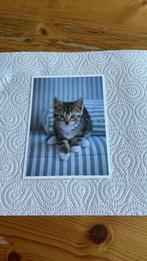 Postkaart - Kitten - Kat - Poes, Ophalen of Verzenden, 1980 tot heden, Ongelopen, Hond of Kat