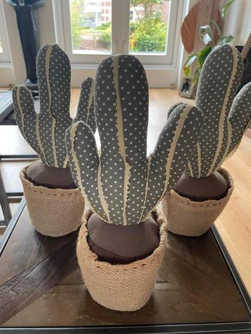 3 Leuke Cactus Deurstoppers - Nieuw! beschikbaar voor biedingen