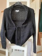 Bolero maat M (nieuw), Ophalen of Verzenden, Nieuw, Maat 38/40 (M)