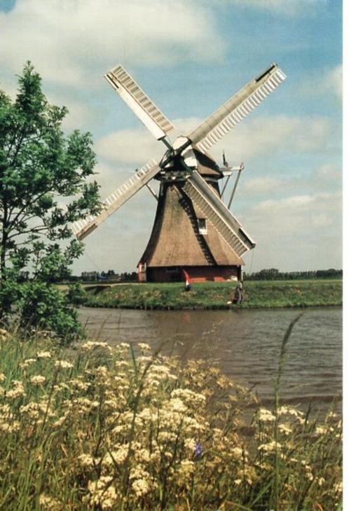 (GN248) Ansichtkaart Zuidwolde molen Krimstermolen, Verzamelen, Ansichtkaarten | Nederland, Ongelopen, Groningen, 1980 tot heden