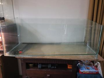 Aquarium 125x50x50 met bodemdoorvoer eendenkuikenopfok beschikbaar voor biedingen