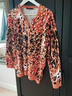 Mooi fijngebreid vest met prachtige print, Kleding | Dames, Grote Maten, Micha, Ophalen of Verzenden, Zo goed als nieuw, Trui of Vest