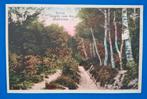 Ansichtkaart Dieren Laantje naar den Geijtenberg 1930, Ophalen of Verzenden, 1920 tot 1940, Gelopen, Gelderland