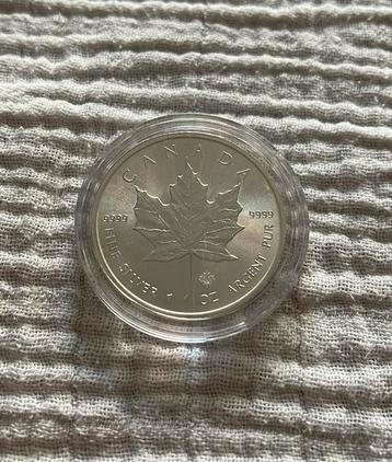 Maple leaf 2014 1oz. Zilver beschikbaar voor biedingen