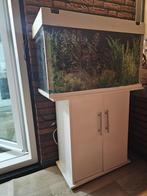 Aquarium met kast + filter – schoon en compleet – €150, Dieren en Toebehoren, Vissen | Aquaria en Toebehoren, Ophalen, Gebruikt