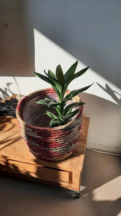 Zeegras mand Bali, Tuin en Terras, Bloembakken en Plantenbakken, Minder dan 60 cm, Rond, Ophalen