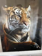 Glas schilderij tijger, Ophalen