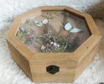 Houten kist met echte opgezette vlinders en droogbloemen, Sieraden, Tassen en Uiterlijk, Ophalen of Verzenden, Nieuw, Hardcase