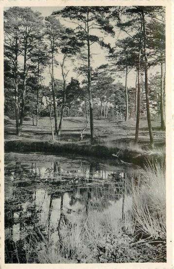 (388-366-029) Driebergen-Rijsenburg de Koekepan beschikbaar voor biedingen
