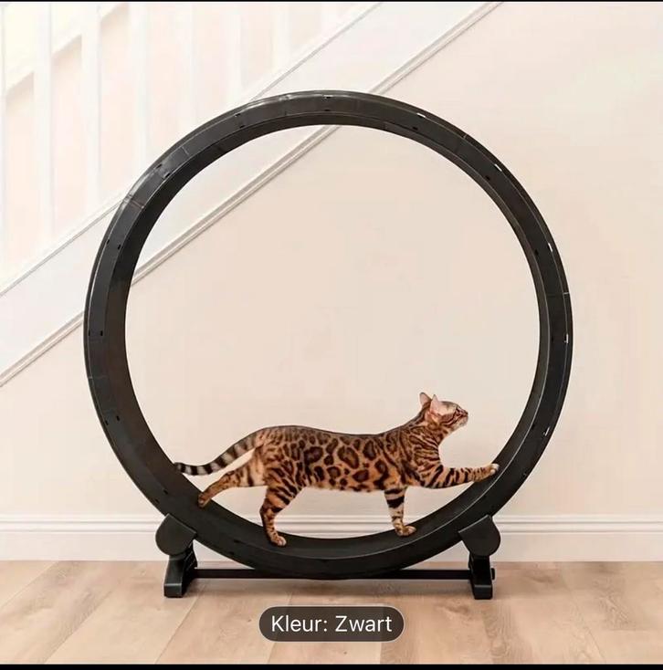 Katten loop wiel, Dieren en Toebehoren, Katten-accessoires, Nieuw, Ophalen