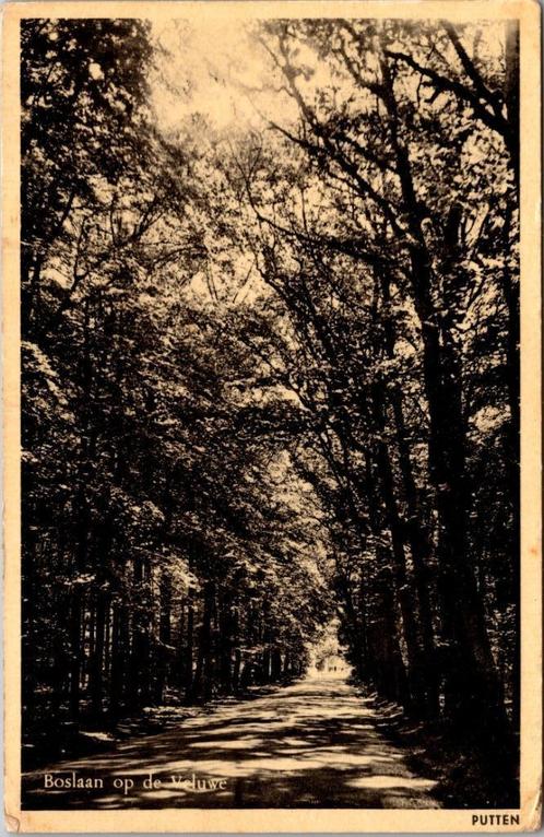 Putten - Boslaan op de Veluwe (1952), Verzamelen, Ansichtkaarten | Nederland, Gelopen, Gelderland, 1940 tot 1960, Verzenden