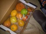 Houten fruitsoorten, Ophalen